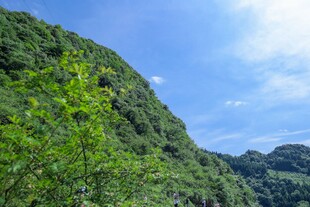青山蓝天绿意浓