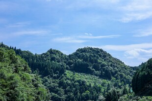 青山葱郁的秀丽自然景观