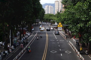 城市林荫大道街景