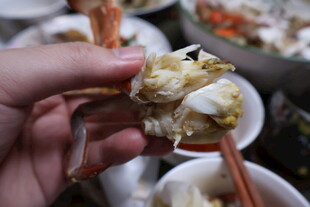 手剥美味螃蟹特写