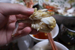 手剥螃蟹特写