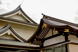日式传统建筑屋顶特写