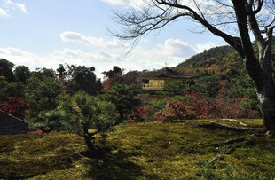 山间景致绿意盎然的自然