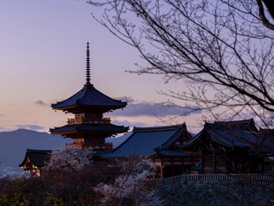 日式古塔与静谧村落景观