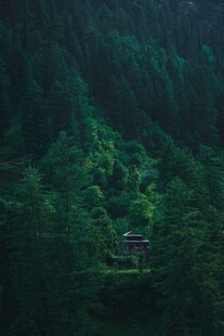 山林中的静谧小屋