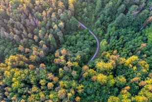 空中俯瞰蜿蜒于山林的小路