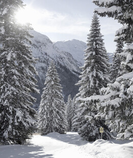 冬日雪覆山林美景
