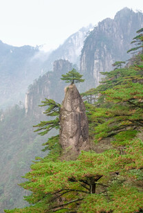 奇峰屹立于翠绿山林间