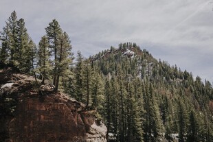 山林景观