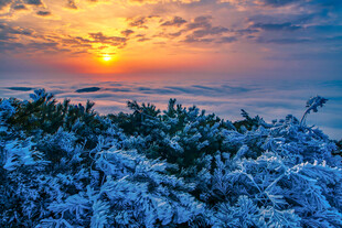 雪后日出美景
