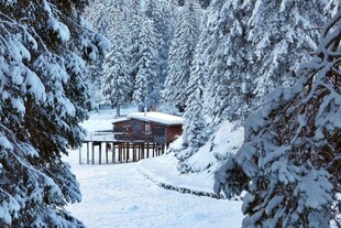 雪林深处的静谧小木屋