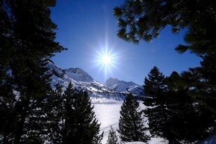 雪山林间的耀眼阳光