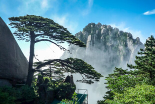 黄山奇松与壮丽山峦景观