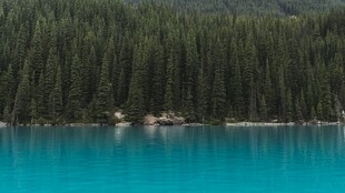 湖畔森林的梦幻蓝湖水