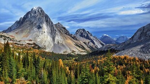 壮丽山景与葱郁森林