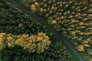 航拍秋日林间蜿蜒公路