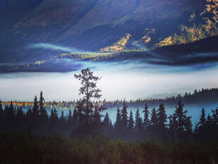 静谧山林间的湖景风光