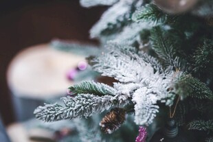 覆雪圣诞树装饰细节
