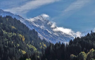 壮丽雪山与葱郁森林景观