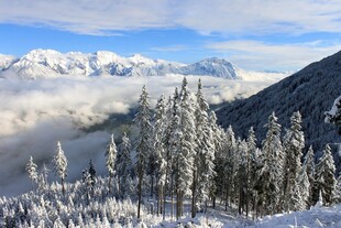 雪覆山林