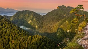 山间晨曦美景