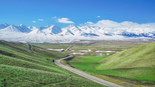 山间公路蜿蜒于绿野雪山间