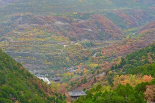 秋日山林斑斓美景