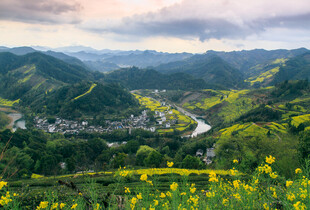 山间村落油菜花田美景