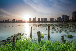 湖畔晨光中的城市天际线