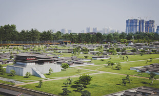 城市中的大片绿地景观