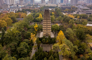 古塔立于葱郁城市景观中