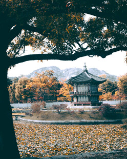 秋日古亭落叶美景