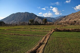 田园山间美景