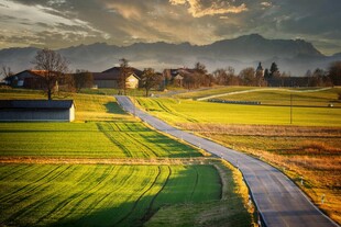 田园风光中的蜿蜒小路