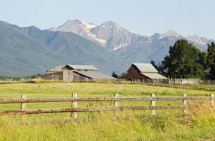 田园牧场景色如画