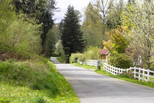 乡村林间蜿蜒的宁静小路
