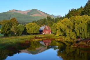 湖畔红屋青山绿树美景