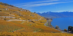 湖畔秋日梯田美景