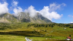 高山草甸美景