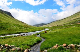 山间绿野溪流美景