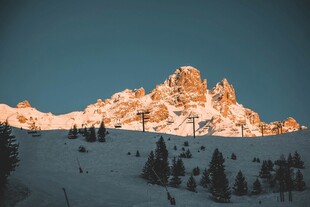 雪山松林美景