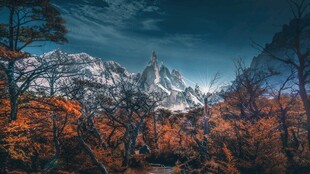 秋日山林中的巍峨雪山