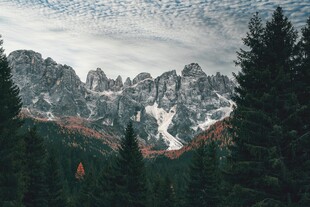 壮丽山景与葱郁森林