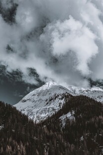 雪山云海下的山林美景