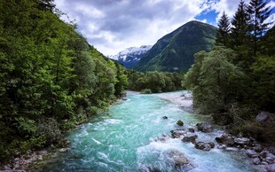 山间碧流邂逅自然之美