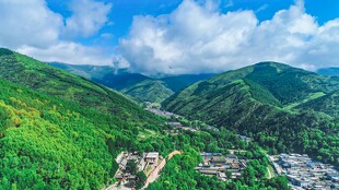 青山环抱中的村落风光