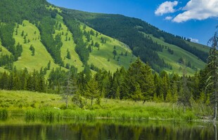 青山绿水间的宁静湖泊