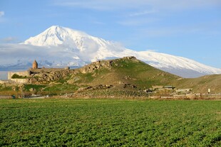 雪山下的广袤田野风光