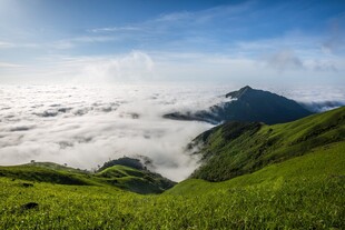 山间云海下的翠绿景致