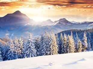 冬日雪岭山林壮丽美景